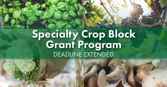 KDA's specialty crop block grant concept proposals deadline extended