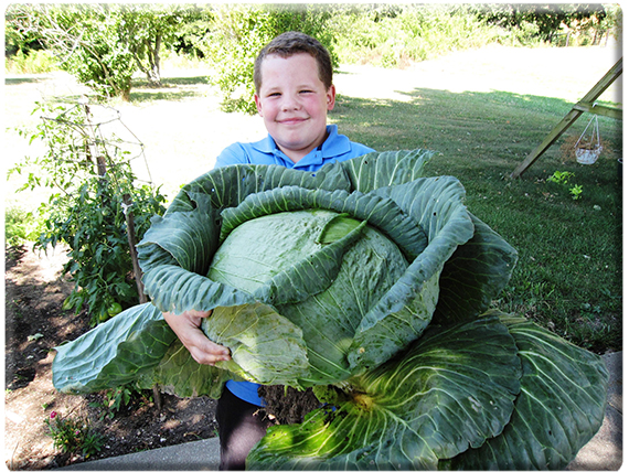 Holden Underwood with his cabbage