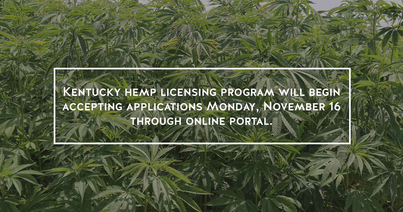 Kentucky hemp application portal
