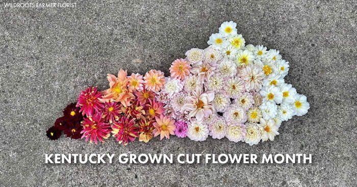 July is Kentucky Grown Cut Flower Month