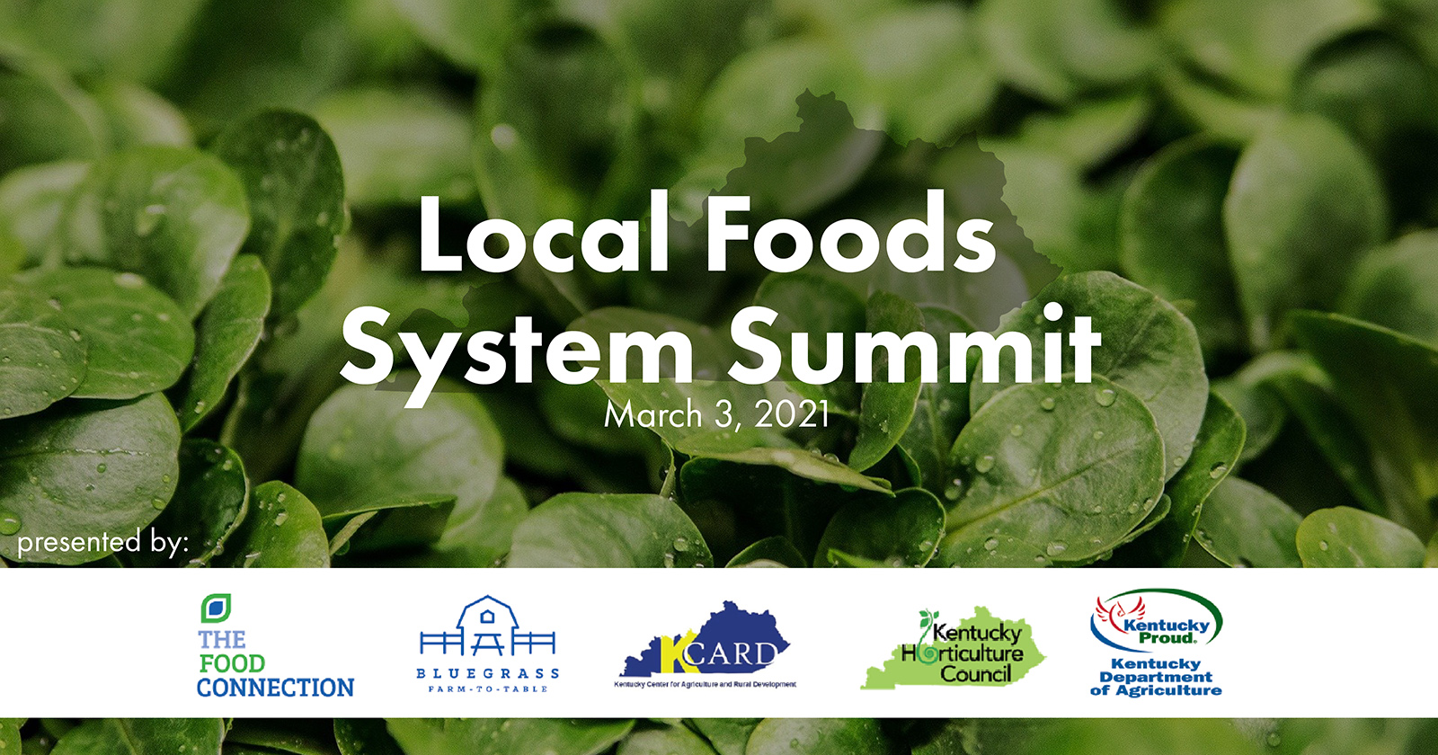 Food Systems Summit