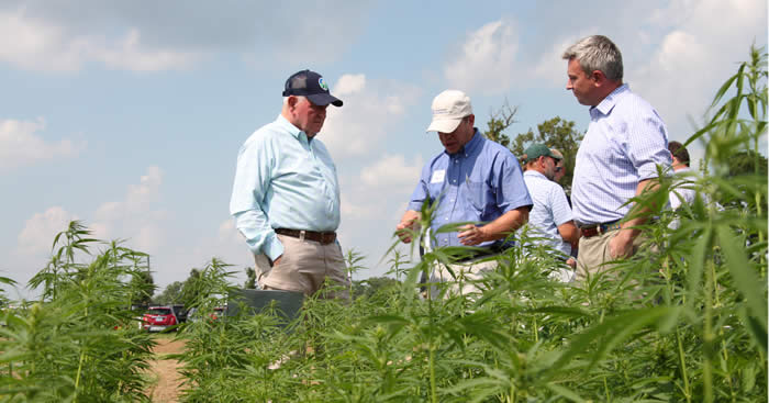Quarles praises new USDA hemp rule