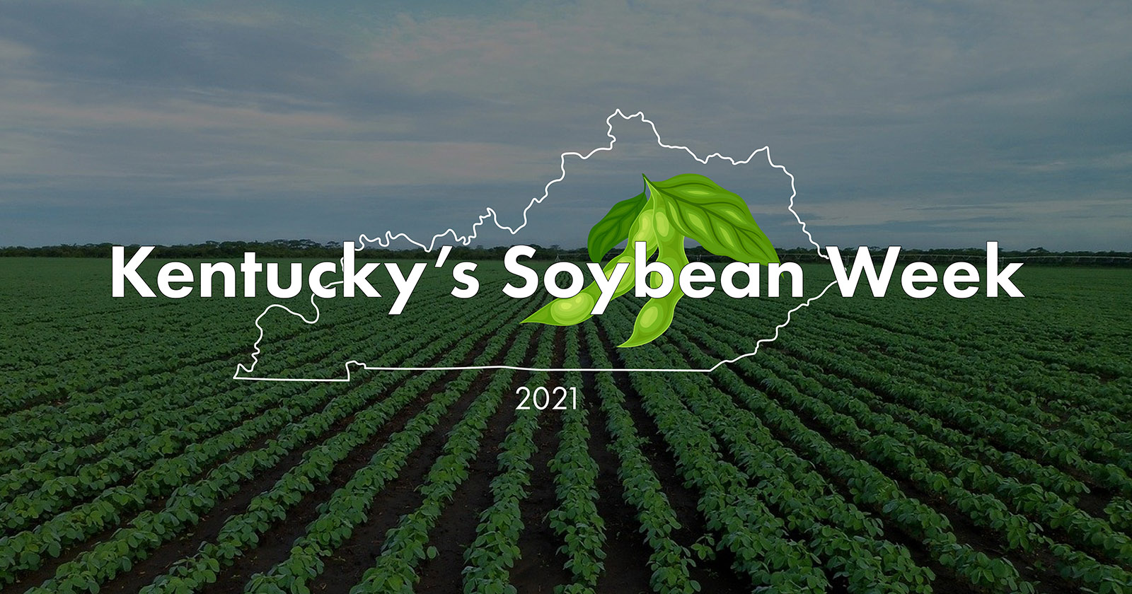 Kentucky Soybean Week
