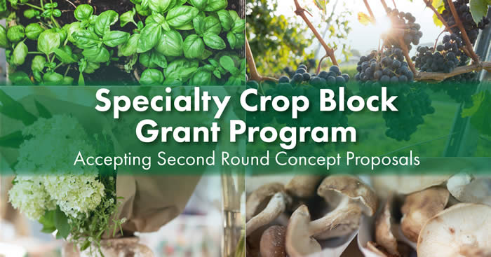 KDA accepting second round of specialty crop block grant concept proposals
