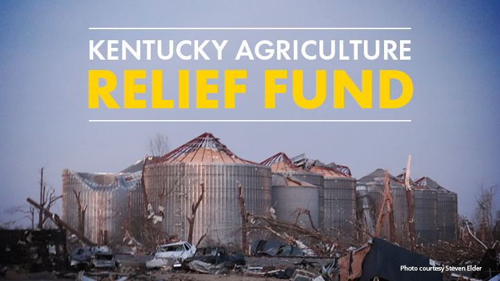 Tornado Relief Fund