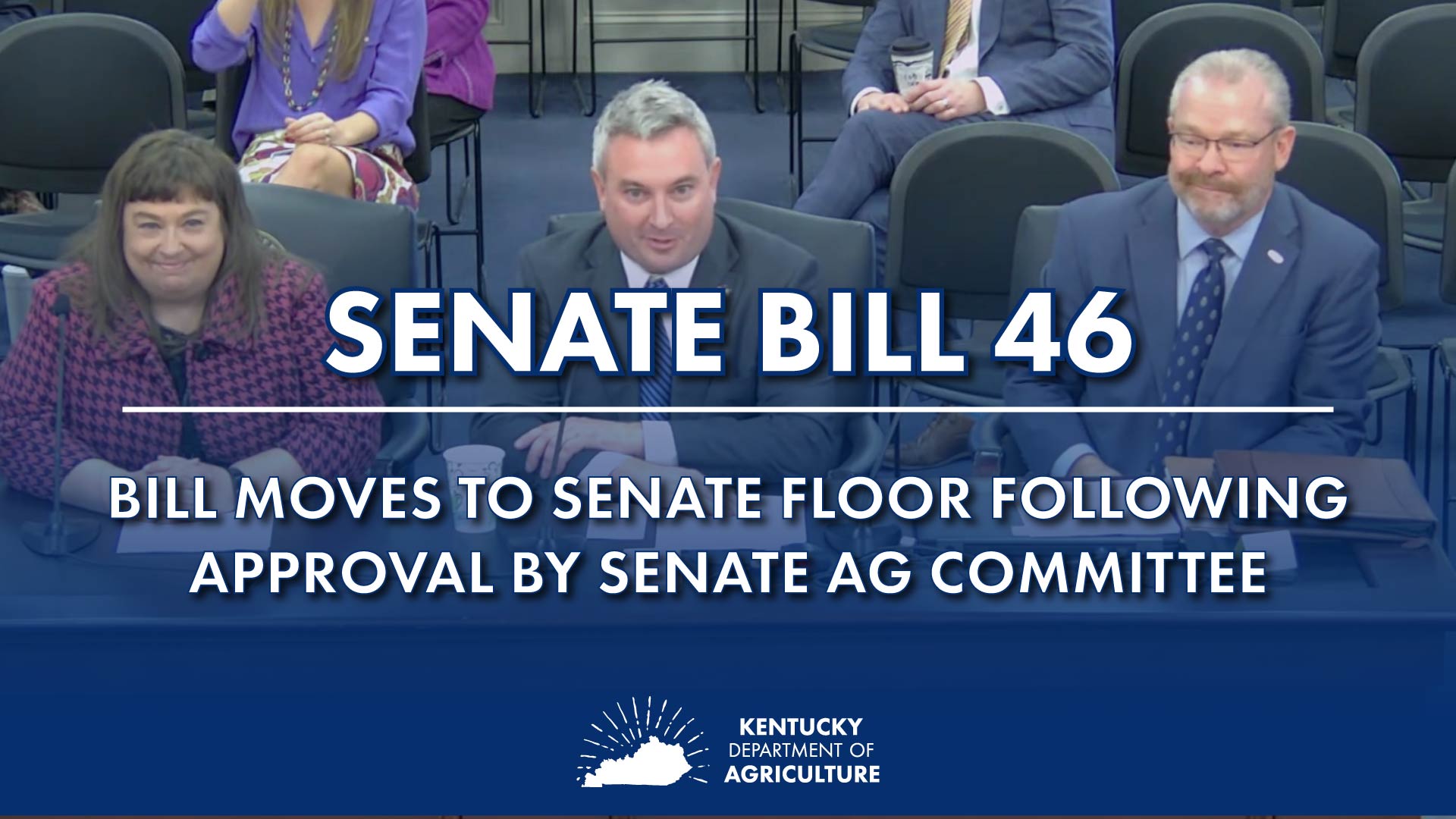 Senate Bill 46