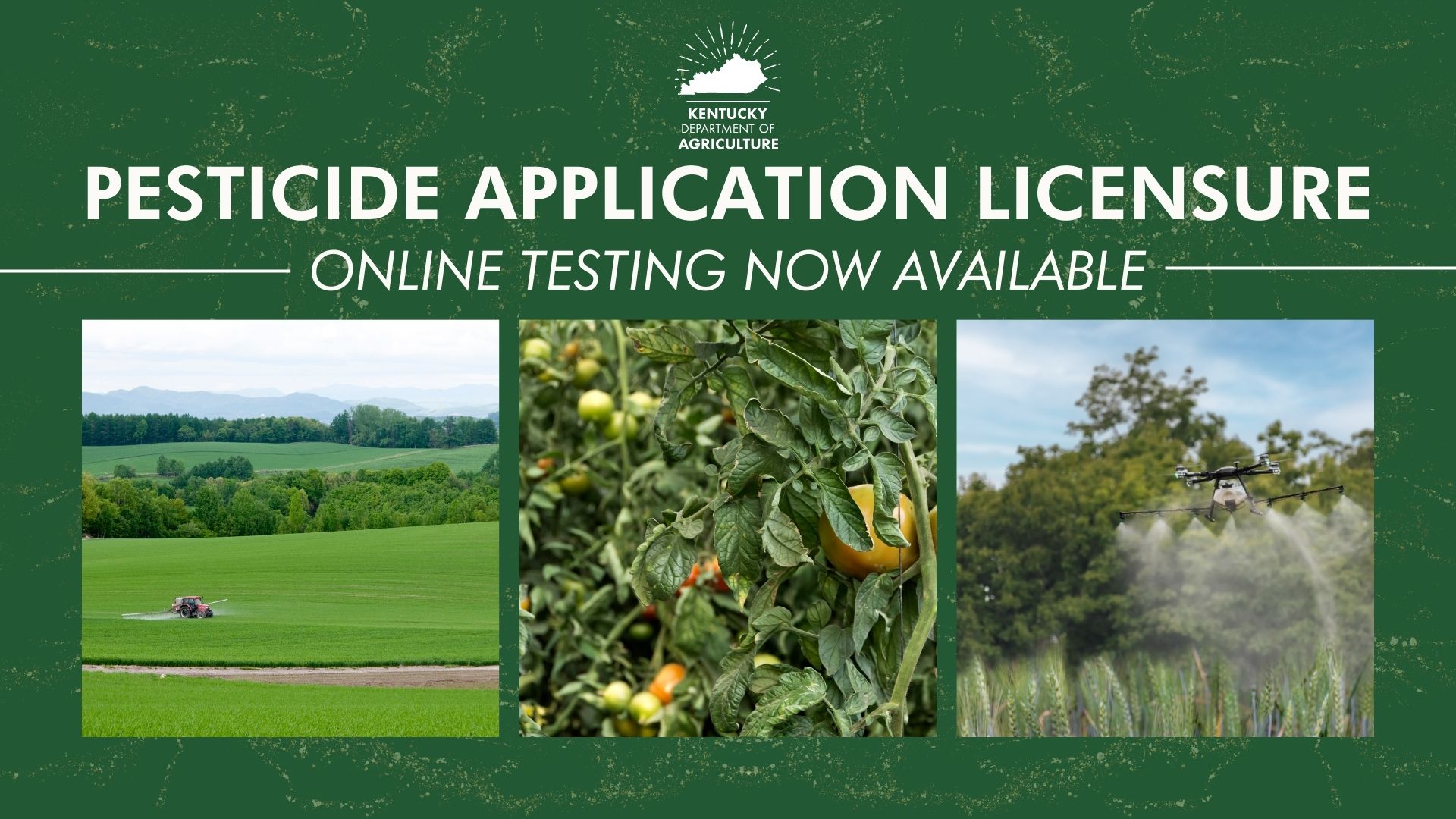 Online testing for pesticide application licensing