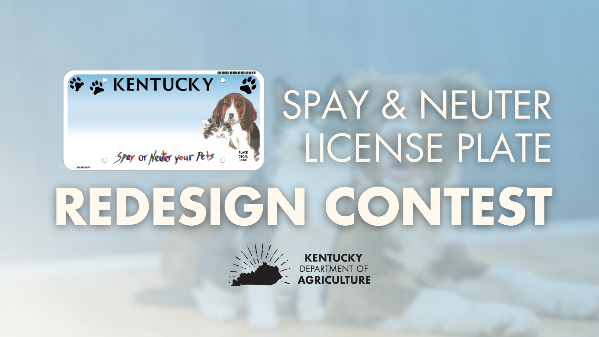 spay & neuter license plate to get new look