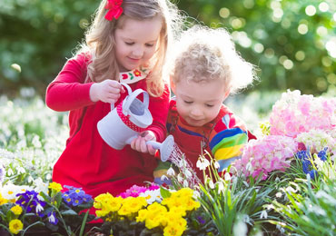 School Gardens